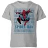 Marvel Spider-Man Kids' Christmas T-Shirt - Grey -Christmas Clothes Store 11966831 1694627110431145